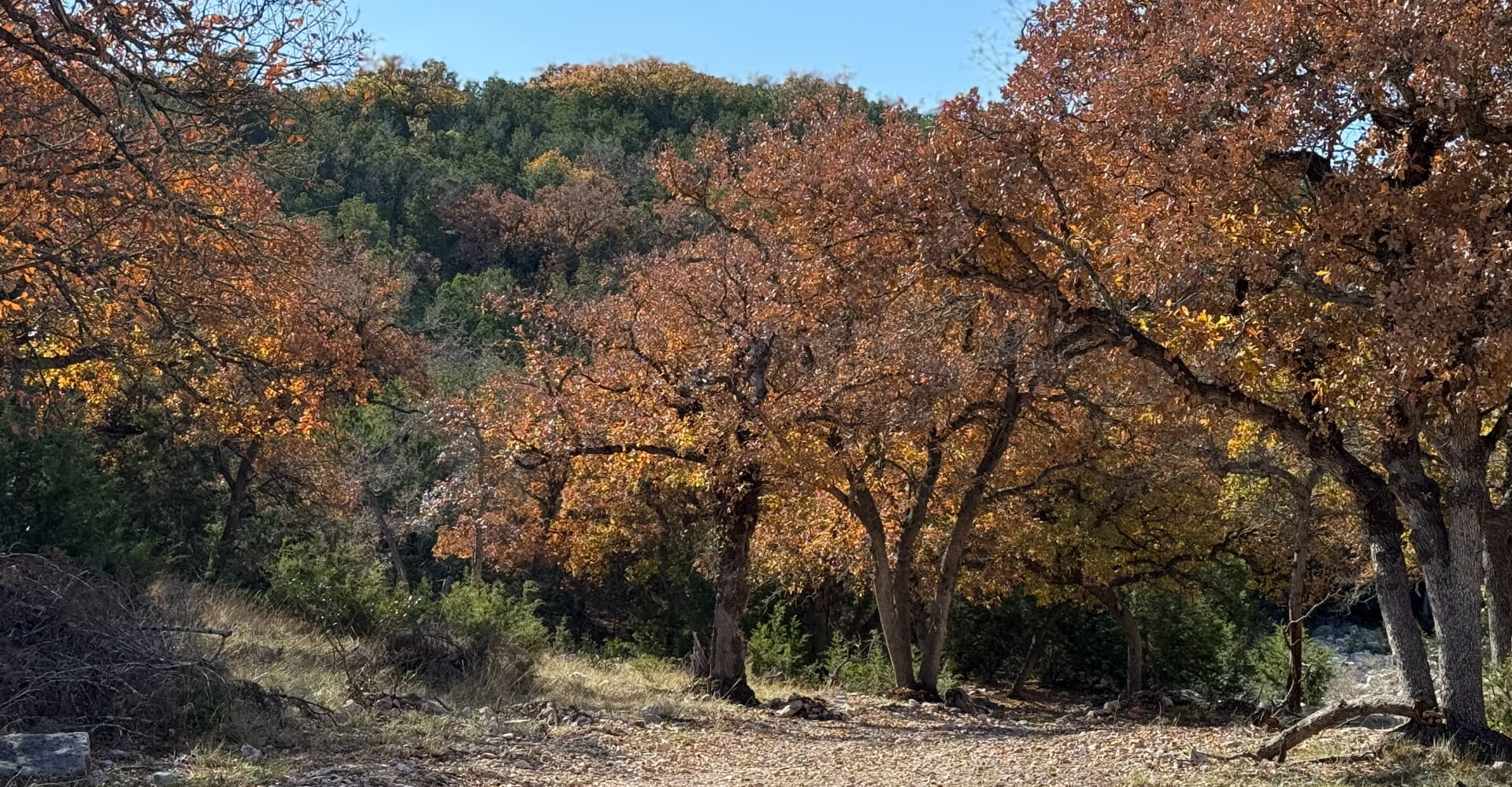 Other Hunts Available at SJK Ranch Other Hunts Available at SJK Ranch